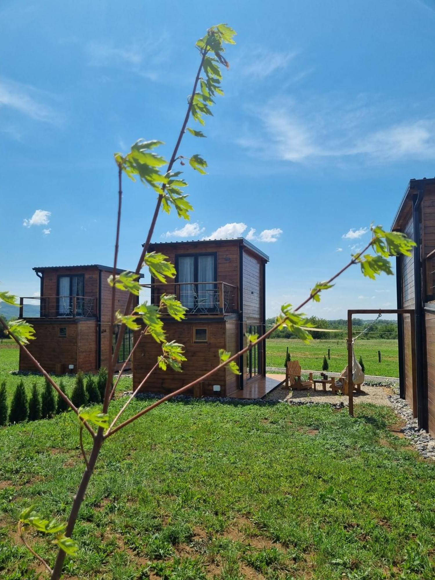 Natura Ždrelo