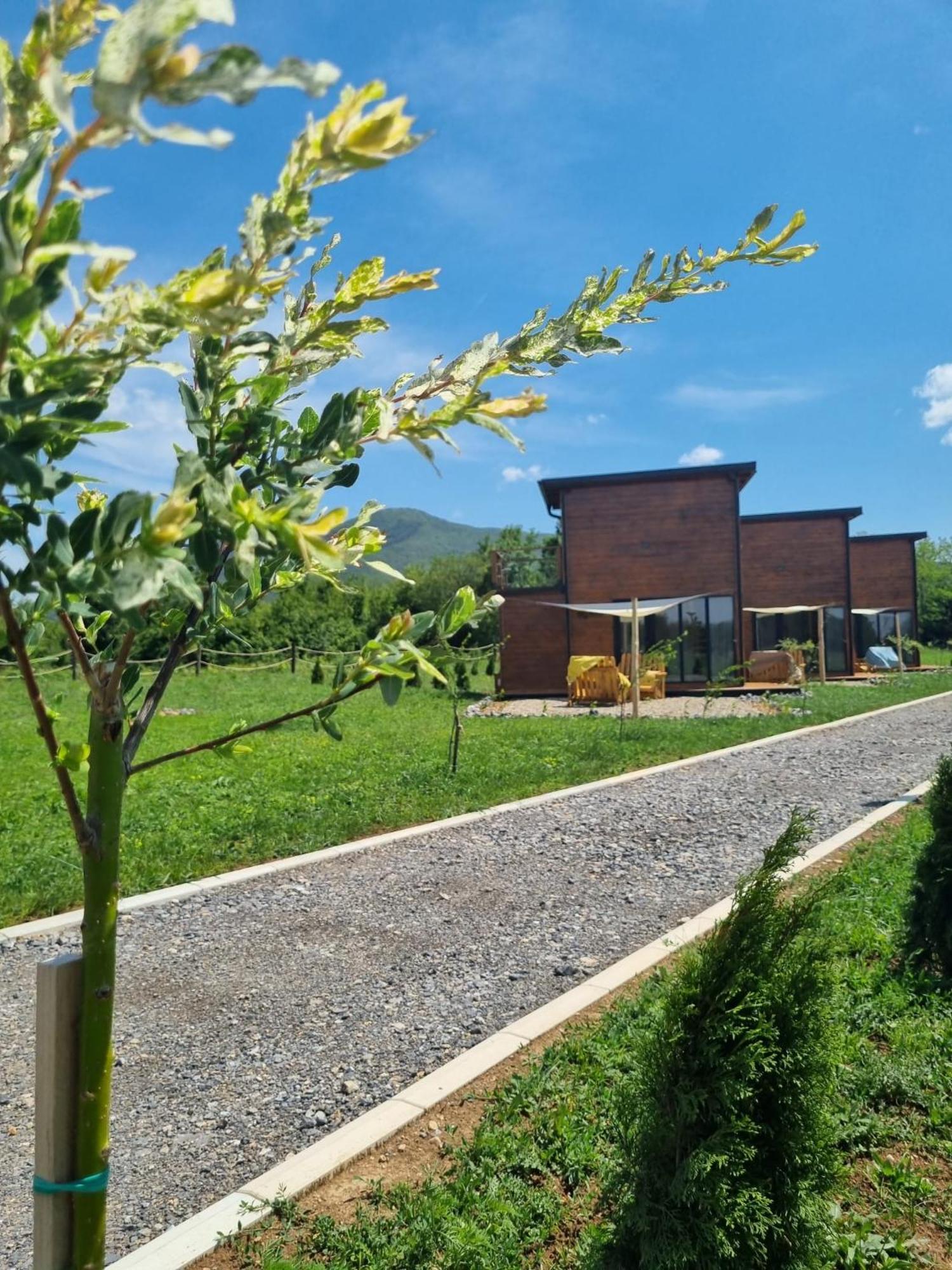 Ferienhaus Natura Ždrelo